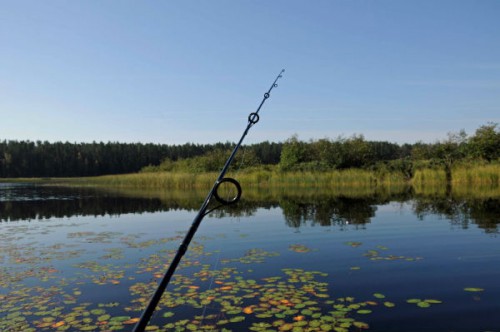 рыбалка на ладожском озере на севере